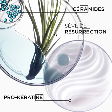 Kerastase - Bain Force Architecte